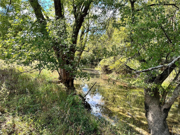 View of local wilderness with a water view