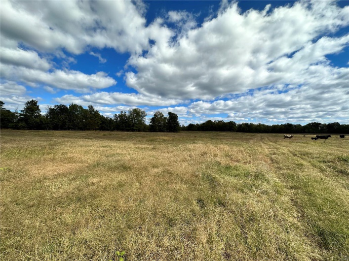 View of local wilderness with a rural view