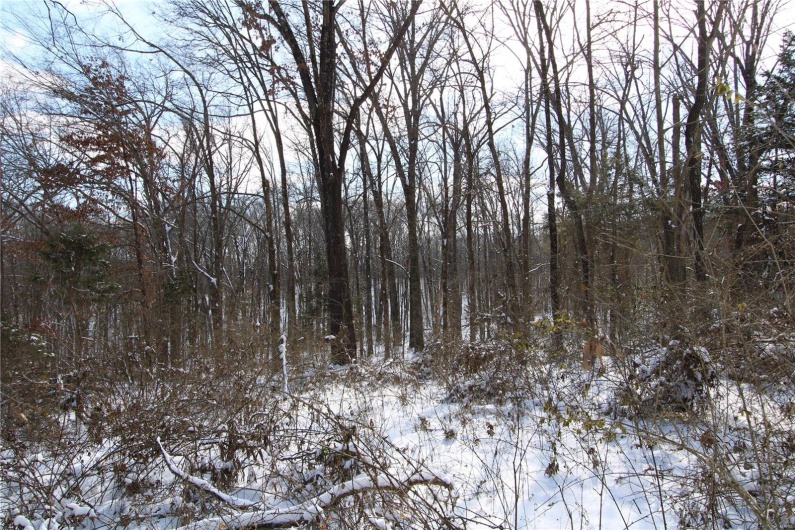 View of snowy view