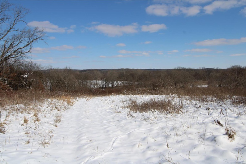 View of snowy landscape