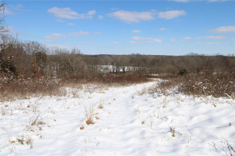 View of snowy landscape