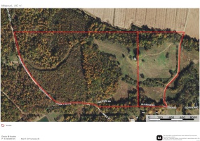 0 BCR 710, Zalma, Missouri 63787, ,Farm,For Sale,BCR 710,MAR25009340