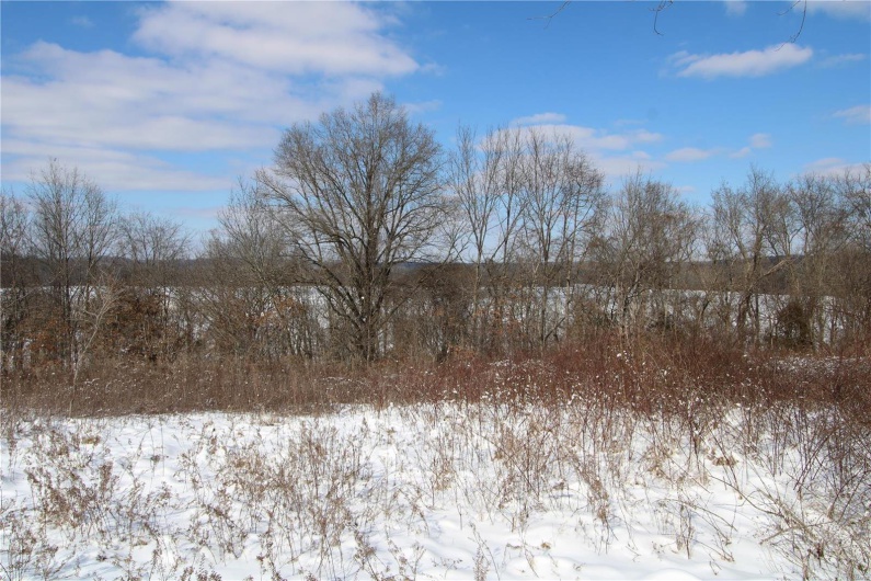 View of snowy view