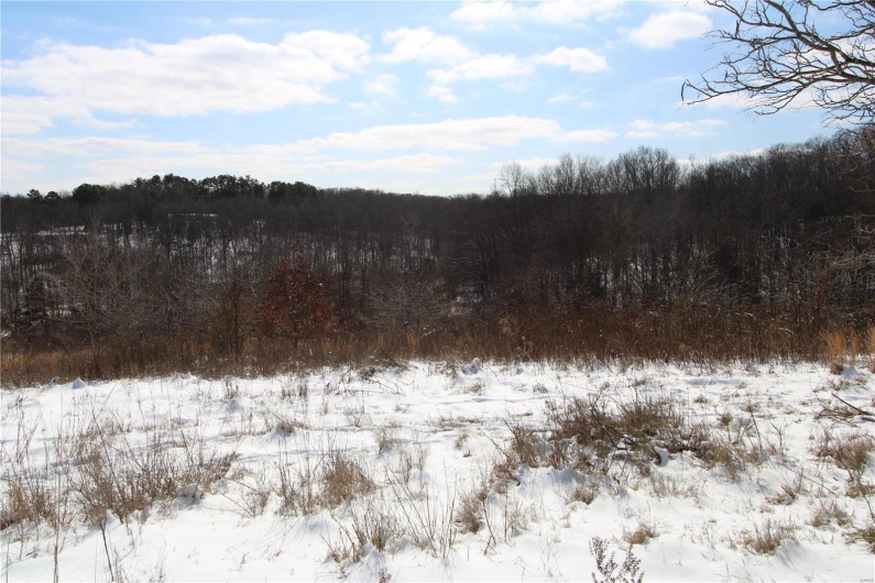 View of snowy landscape
