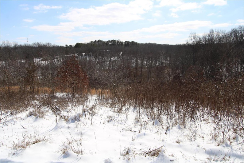 View of snowy landscape