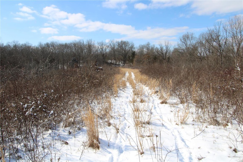 View of snow covered land
