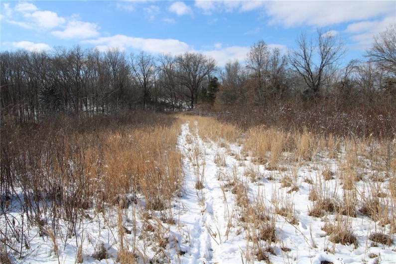 View of snowy landscape