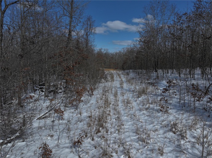 View of snowy landscape