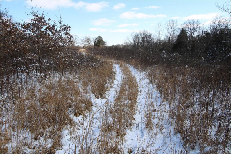 View of snowy landscape
