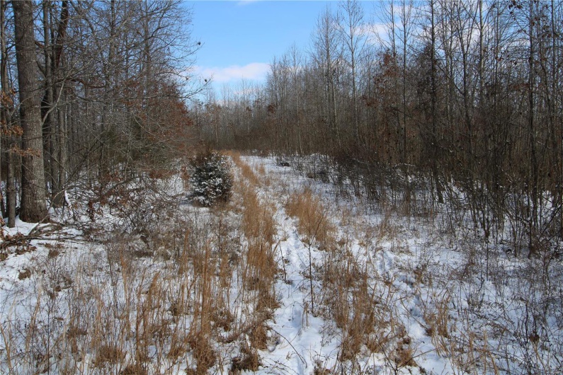 View of snow covered land