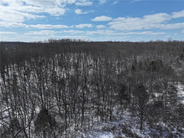 View of nature with a forest view