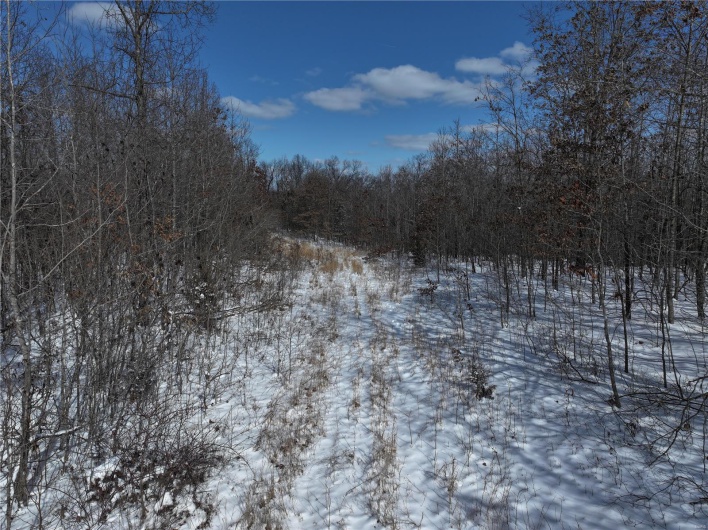 View of snow covered land
