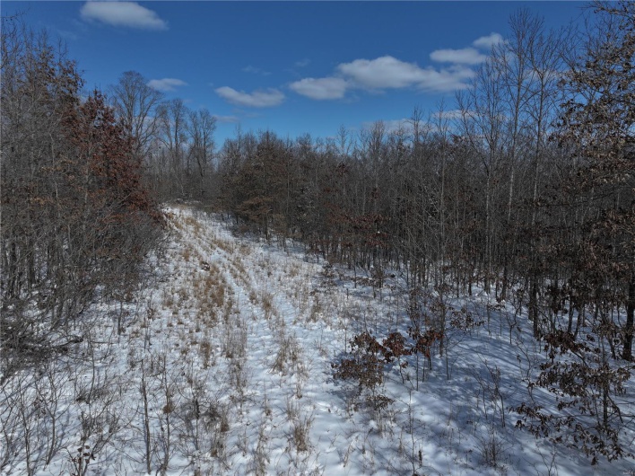 View of snow covered land
