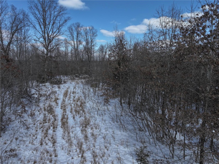 View of snowy view