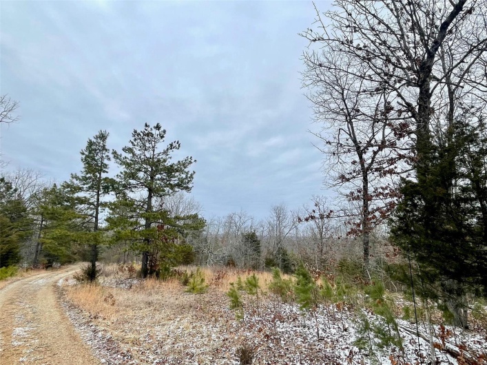 50.10 Acres off Madison 9519, Fredericktown, Missouri 63645, ,Farm,For Sale,50.10 Acres off Madison 9519,MAR25008679