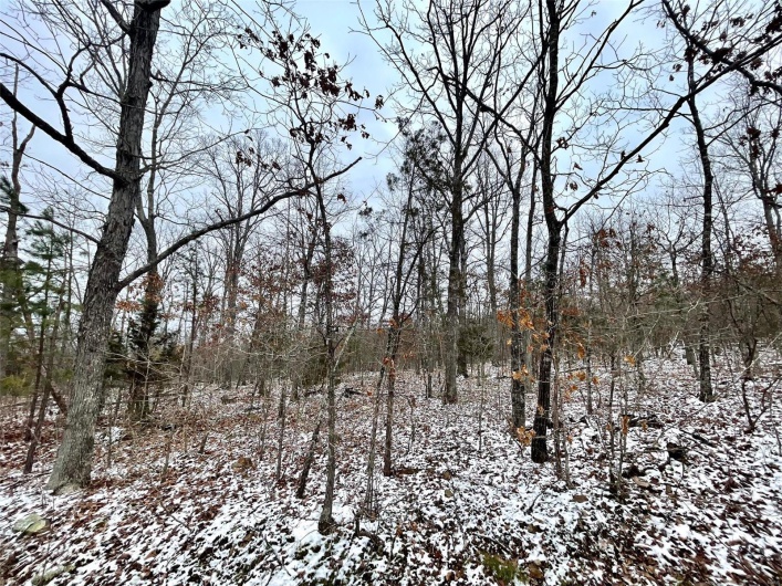 50.10 Acres off Madison 9519, Fredericktown, Missouri 63645, ,Farm,For Sale,50.10 Acres off Madison 9519,MAR25008679