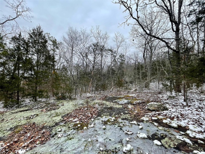 50.10 Acres off Madison 9519, Fredericktown, Missouri 63645, ,Farm,For Sale,50.10 Acres off Madison 9519,MAR25008679