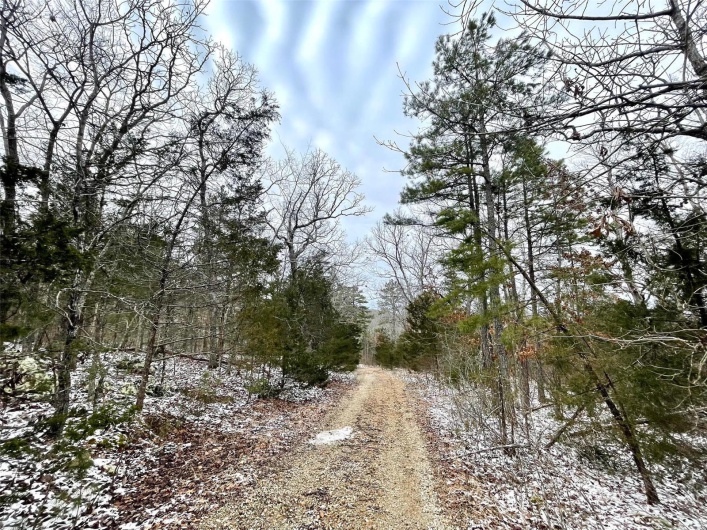 50.10 Acres off Madison 9519, Fredericktown, Missouri 63645, ,Farm,For Sale,50.10 Acres off Madison 9519,MAR25008679