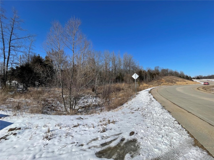 0 Hwy 67 S, Poplar Bluff, Missouri 63901, ,Land,For Sale,Hwy 67 S,MAR25009528