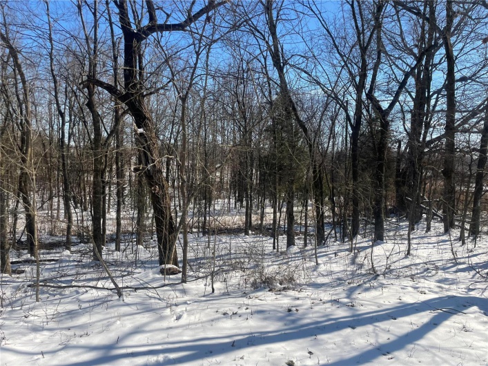 0 Hwy 67 S, Poplar Bluff, Missouri 63901, ,Land,For Sale,Hwy 67 S,MAR25009528