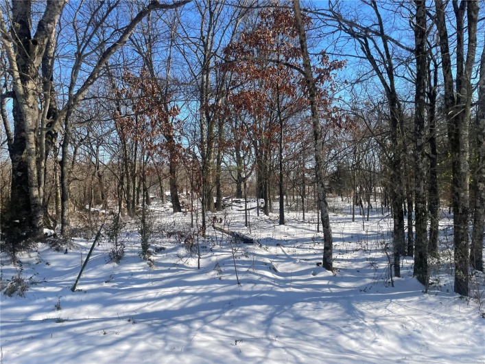 0 Hwy 67 S, Poplar Bluff, Missouri 63901, ,Land,For Sale,Hwy 67 S,MAR25009528