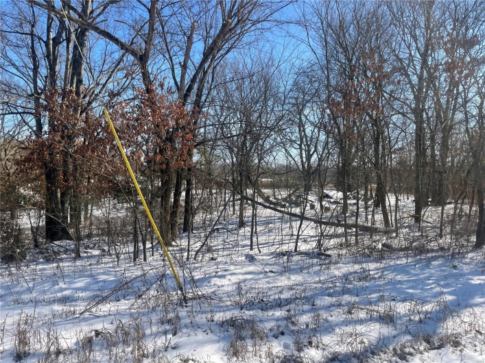 0 Hwy 67 S, Poplar Bluff, Missouri 63901, ,Land,For Sale,Hwy 67 S,MAR25009528
