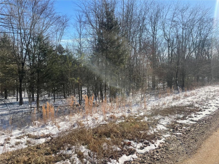 0 Hwy 67 S, Poplar Bluff, Missouri 63901, ,Land,For Sale,Hwy 67 S,MAR25009528