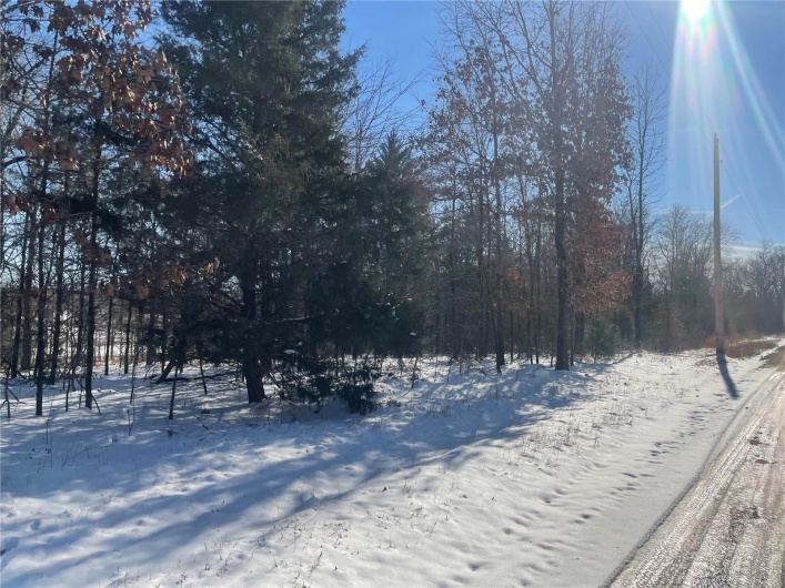 0 Hwy 67 S, Poplar Bluff, Missouri 63901, ,Land,For Sale,Hwy 67 S,MAR25009528