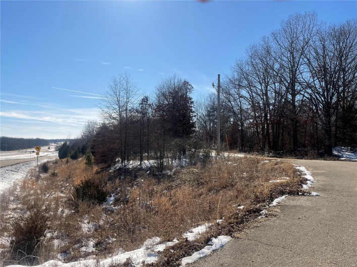 0 Hwy 67 S, Poplar Bluff, Missouri 63901, ,Land,For Sale,Hwy 67 S,MAR25009528