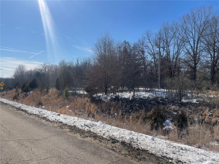 0 Hwy 67 S, Poplar Bluff, Missouri 63901, ,Land,For Sale,Hwy 67 S,MAR25009528