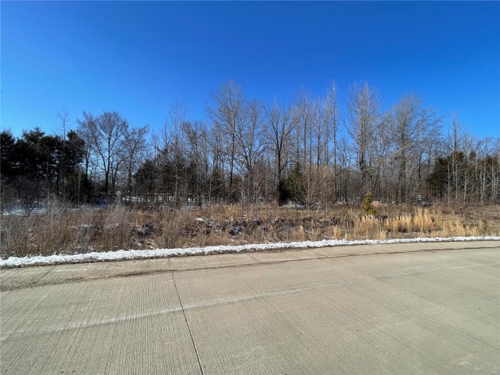0 Hwy 67 S, Poplar Bluff, Missouri 63901, ,Land,For Sale,Hwy 67 S,MAR25009528