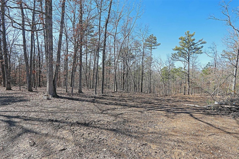 37801 State Highway HH, Patton, Missouri 63662, 4 Bedrooms Bedrooms, 6 Rooms Rooms,2 BathroomsBathrooms,Residential,For Sale,State Highway HH,MAR25009852
