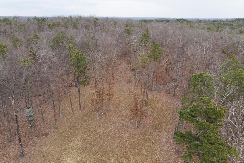 37801 State Highway HH, Patton, Missouri 63662, 4 Bedrooms Bedrooms, 6 Rooms Rooms,2 BathroomsBathrooms,Residential,For Sale,State Highway HH,MAR25009852