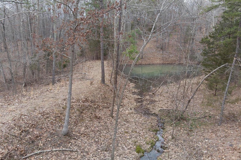 37801 State Highway HH, Patton, Missouri 63662, 4 Bedrooms Bedrooms, 6 Rooms Rooms,2 BathroomsBathrooms,Residential,For Sale,State Highway HH,MAR25009852