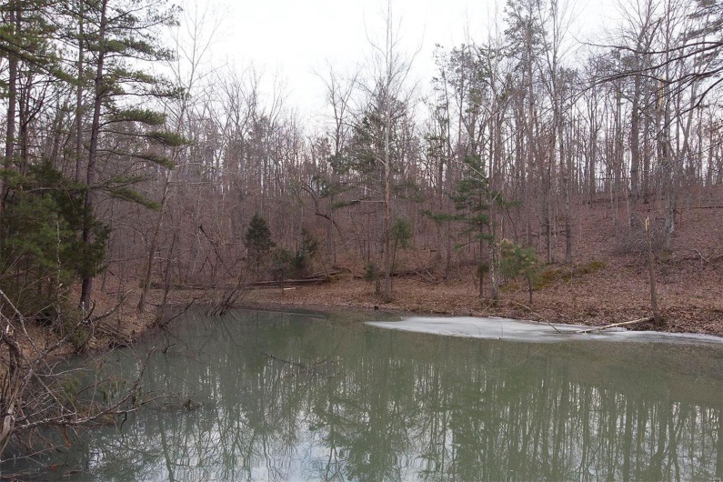 37801 State Highway HH, Patton, Missouri 63662, 4 Bedrooms Bedrooms, 6 Rooms Rooms,2 BathroomsBathrooms,Residential,For Sale,State Highway HH,MAR25009852