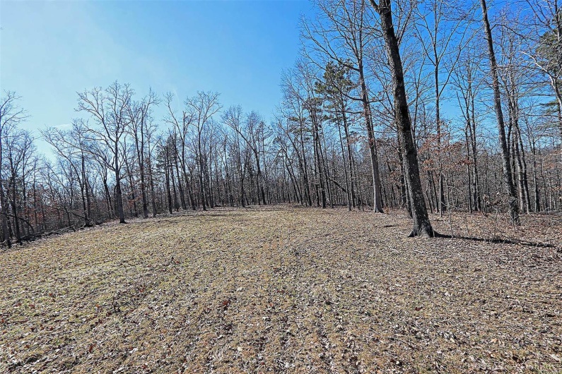 37801 State Highway HH, Patton, Missouri 63662, 4 Bedrooms Bedrooms, 6 Rooms Rooms,2 BathroomsBathrooms,Residential,For Sale,State Highway HH,MAR25009852