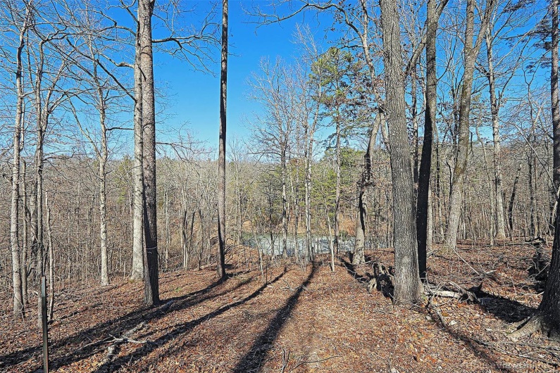 37801 State Highway HH, Patton, Missouri 63662, 4 Bedrooms Bedrooms, 6 Rooms Rooms,2 BathroomsBathrooms,Residential,For Sale,State Highway HH,MAR25009852
