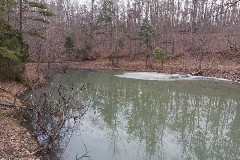 37801 State Highway HH, Patton, Missouri 63662, 4 Bedrooms Bedrooms, 6 Rooms Rooms,2 BathroomsBathrooms,Residential,For Sale,State Highway HH,MAR25009852
