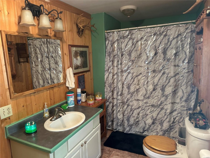 Bathroom featuring a shower with shower curtain, wooden walls, toilet, and vanity