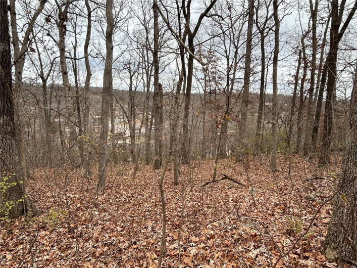 6366 Sioux Dr, French Village, Missouri 63036, ,Land,For Sale,Sioux Dr,MAR25010064