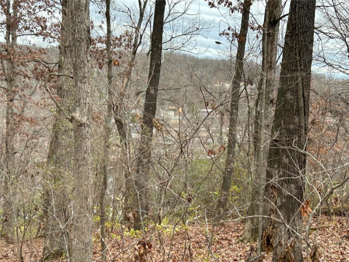 View of nature