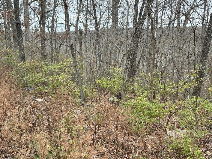 6366 Sioux Dr, French Village, Missouri 63036, ,Land,For Sale,Sioux Dr,MAR25010064