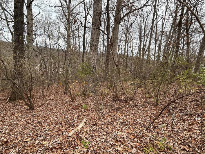 6366 Sioux Dr, French Village, Missouri 63036, ,Land,For Sale,Sioux Dr,MAR25010064