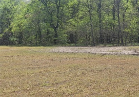 22486 State Highway P, Bell City, Missouri 63735, ,Farm,For Sale,State Highway P,MAR25010154