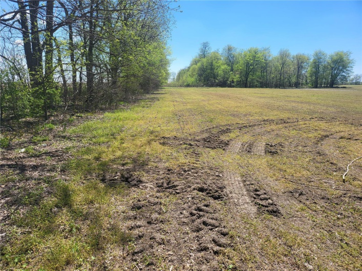 22486 State Highway P, Bell City, Missouri 63735, ,Farm,For Sale,State Highway P,MAR25010154