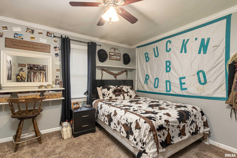 1350 WALNUT GROVE Road, New Burnside, Illinois 62967, 3 Bedrooms Bedrooms, 0 ,1 BathroomBathrooms,Residential,For Sale,WALNUT GROVE,0,RMAEB456867