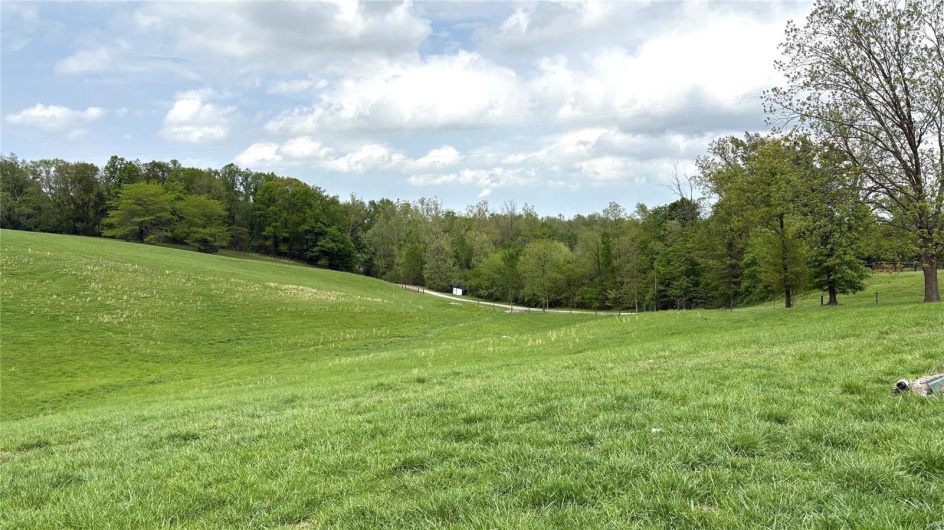 1548 Koehn Road, Ava, Illinois 62907, 5 Bedrooms Bedrooms, 12 Rooms Rooms,3 BathroomsBathrooms,Farm,For Sale,Koehn,MAR25010212