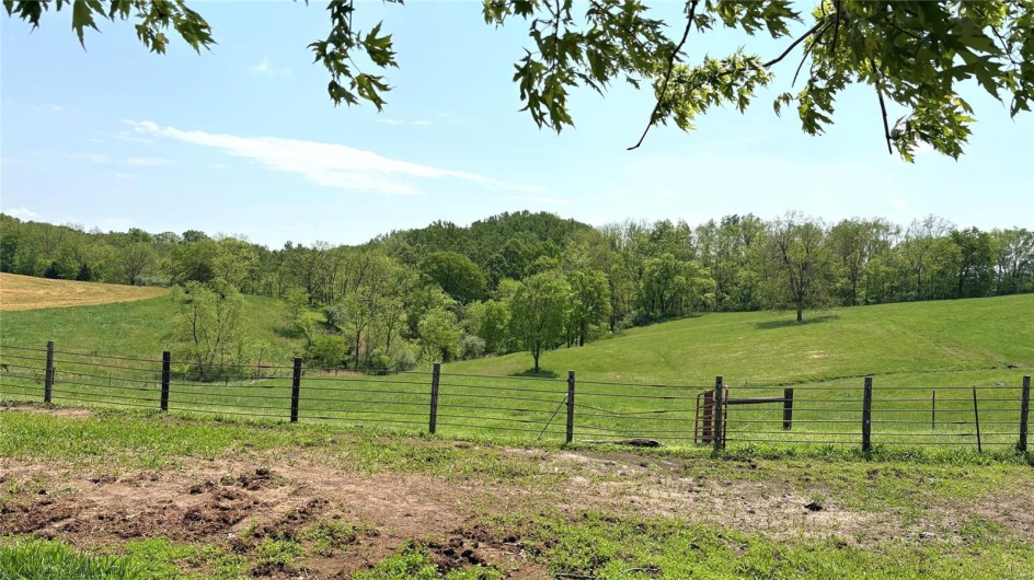 1548 Koehn Road, Ava, Illinois 62907, 5 Bedrooms Bedrooms, 12 Rooms Rooms,3 BathroomsBathrooms,Farm,For Sale,Koehn,MAR25010212