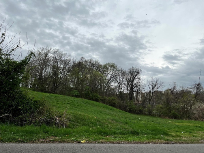 0 Frederick Street, Cape Girardeau, Missouri 63701, ,Land,For Sale,Frederick,MAR24010781