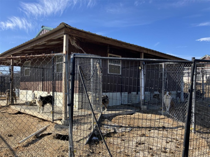 Dog Kennel